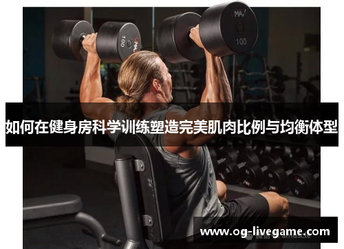 如何在健身房科学训练塑造完美肌肉比例与均衡体型