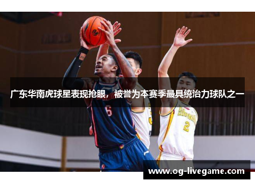 广东华南虎球星表现抢眼，被誉为本赛季最具统治力球队之一
